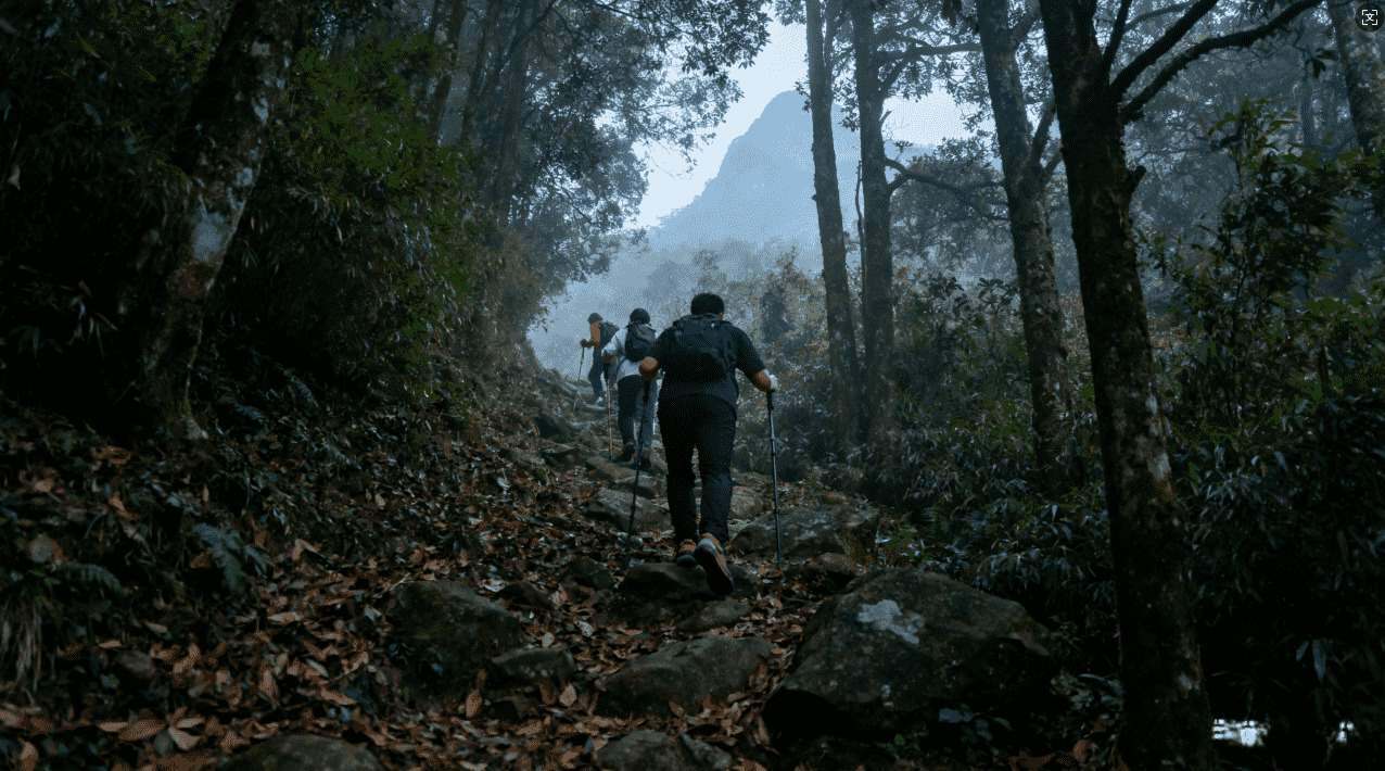 游戏加速器助你突破网络瓶颈成为游戏世界的真正“梯子”